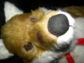 cesfur 477.JPG